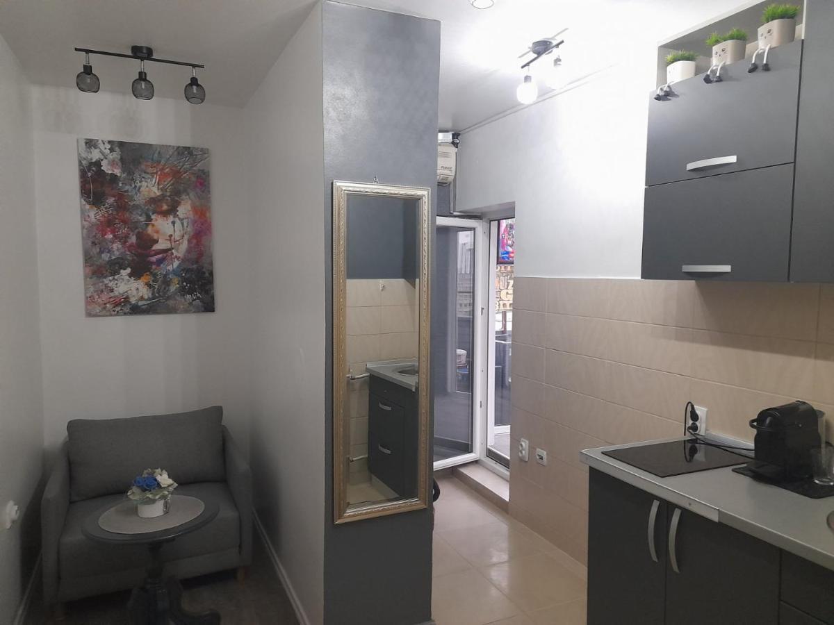 Apartman Pozoriste Penthaus Banja Luka Buitenkant foto