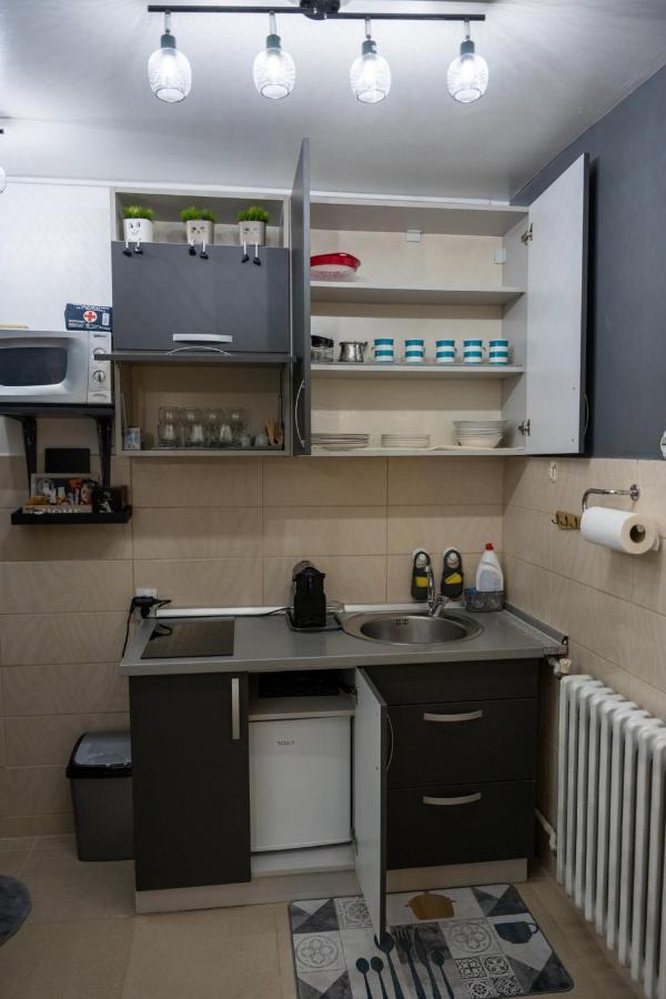 Apartman Pozoriste Penthaus Banja Luka Buitenkant foto